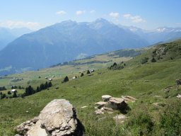1_tag_auf_der_alp_20130217_2077647576