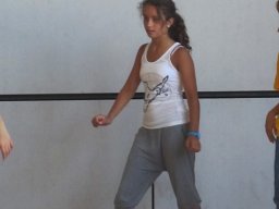 hip_hop_20130217_1201244912