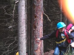 wildbeobachtung_20130217_1713416952